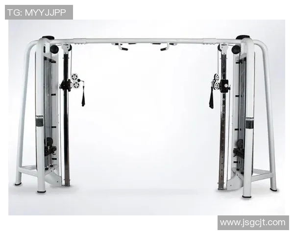 全面探索健身器材的种类、功能与使用技巧助你实现高效锻炼目标